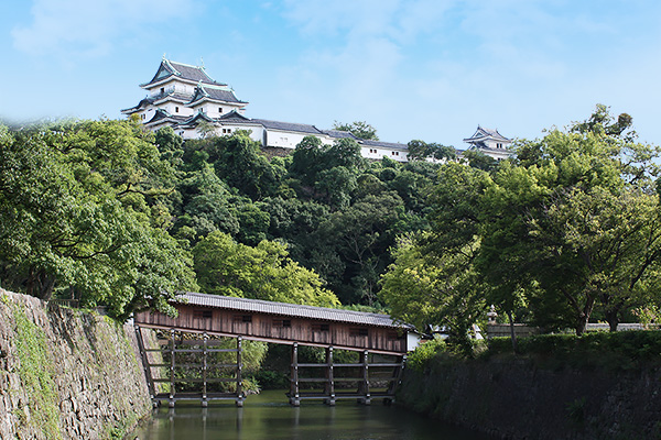 Wakayama castle